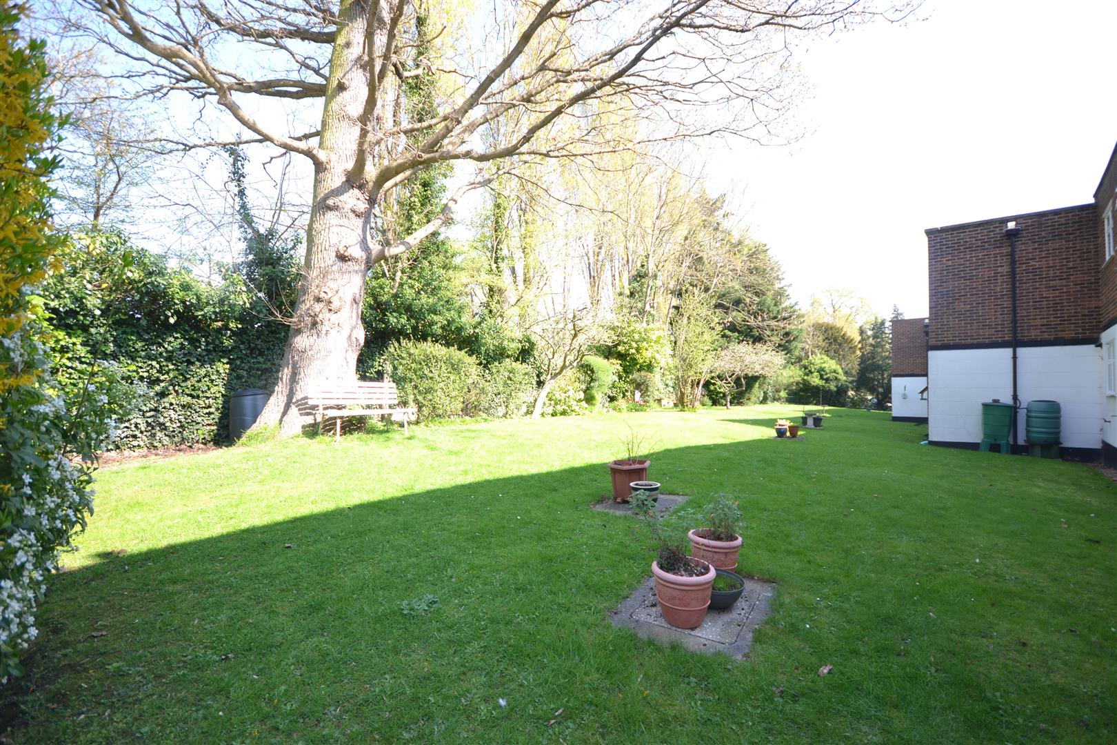 COMMUNAL GARDENS
